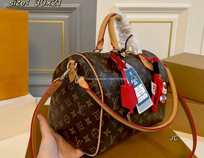 LV Speedy309
