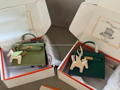 愛馬仕 kellymini  二代7