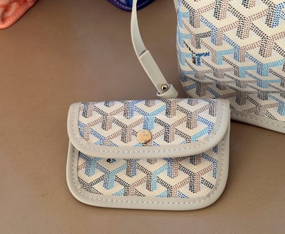 Goyard迷你tote 10