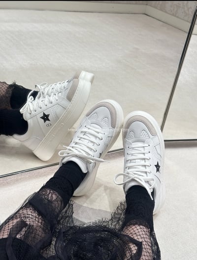Dior Star 運動鞋14