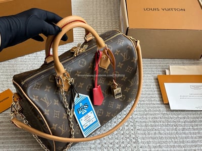 LV SPEEDY30枕頭包7