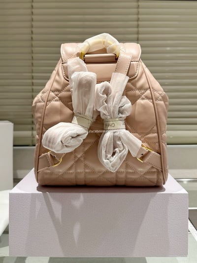 DIOR後背包   12