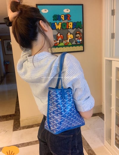 Goyard迷你tote 3