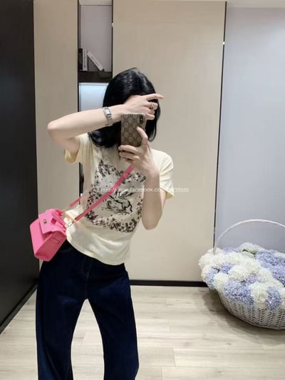 Dior微透童話飛馬T5