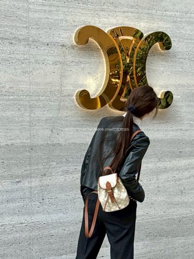 Celine Triomphe Canvas3