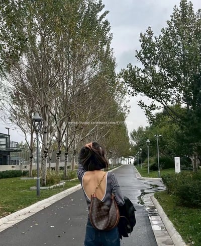 LV Loop hobo大月亮包3