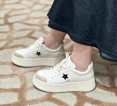 Dior Star 運動鞋2