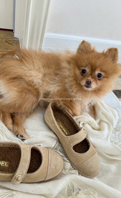 小香平底瑪莉珍鞋10