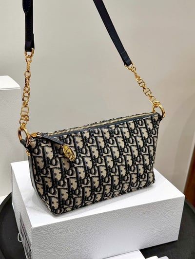 Dior刺繡老花鏈條飯盒包12