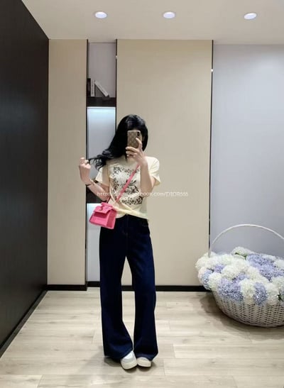 Dior微透童話飛馬T4