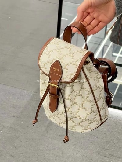 Celine Triomphe Canvas5