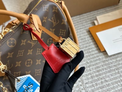 LV SPEEDY30枕頭包8