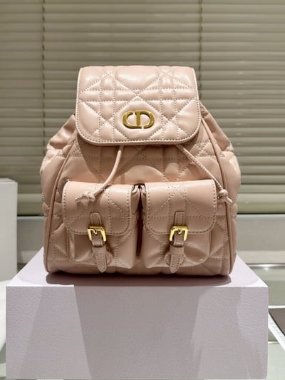 DIOR後背包   13