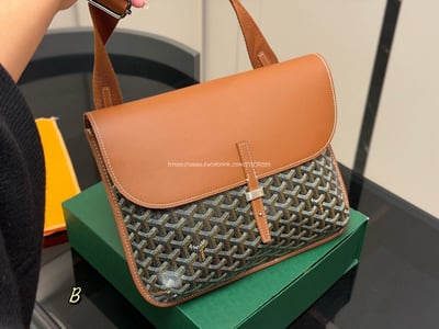Goyard Coursier Messenger bag12