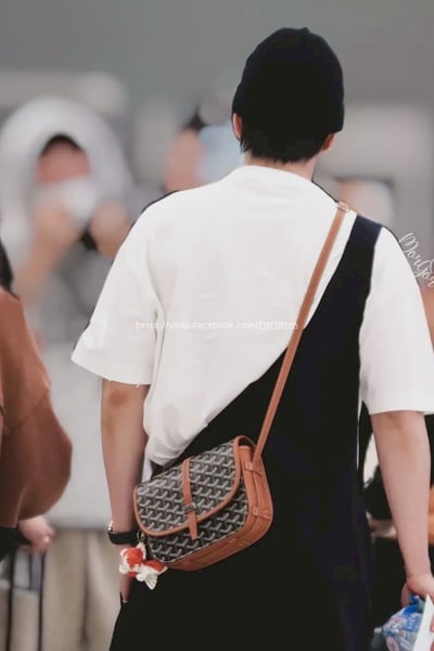 Goyard狗牙郵差包5