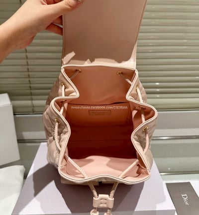 DIOR後背包   10
