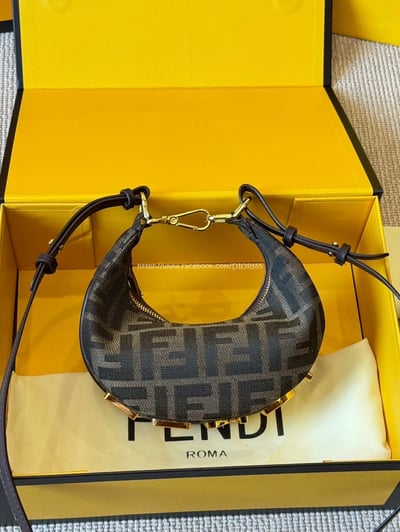 Fendi graphy半月包13