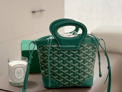 Goyard  beluga 菜籃包5
