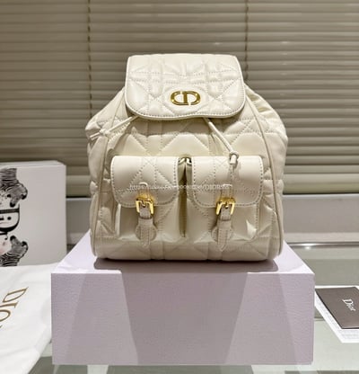DIOR後背包   11