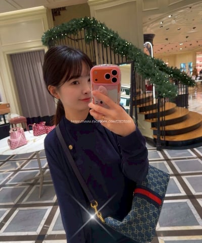 Gucci Vanity 老花飯盒包8