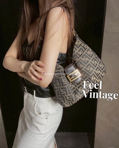 Fendi zucca 老花牛角包13