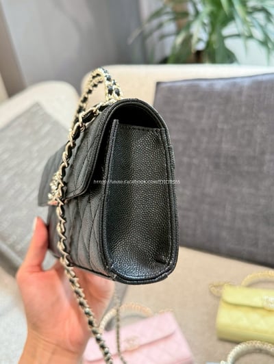 小香手柄kelly Woc6