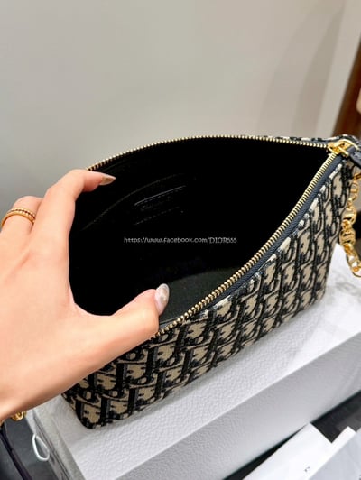 Dior刺繡老花鏈條飯盒包13