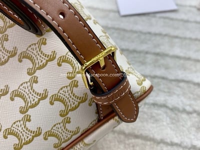 Celine Triomphe Canvas9