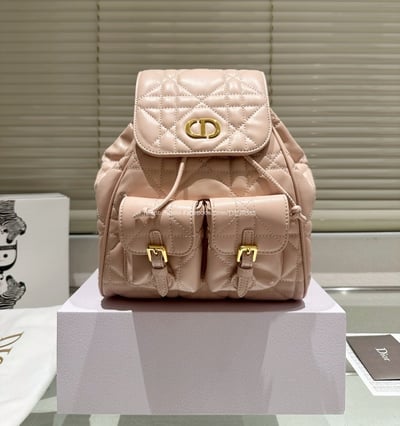 DIOR後背包   16