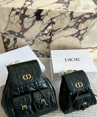 Dior後背包14