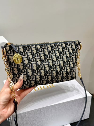 Dior刺繡老花鏈條飯盒包11