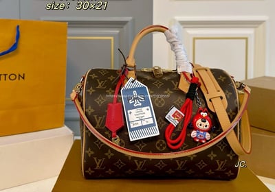 LV Speedy308