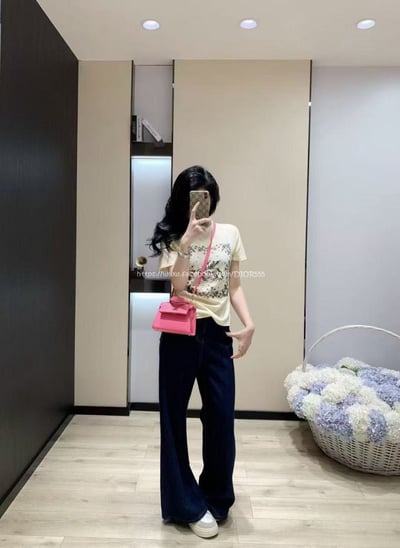 Dior微透童話飛馬T3