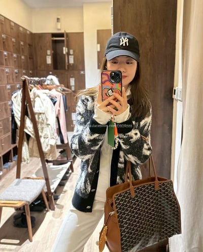 goyard hardy托特包3