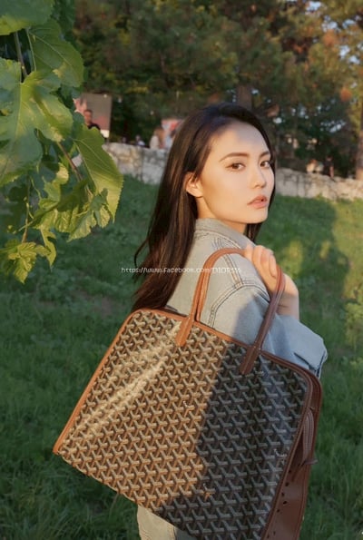 goyard hardy托特包4