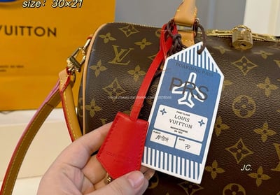 LV Speedy3010