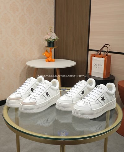 Dior Star 運動鞋9