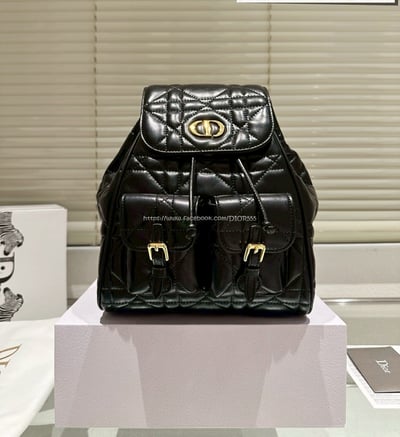 DIOR後背包   14