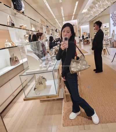 LV 大象灰 carryall4