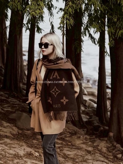 LV巧克力色圍巾2