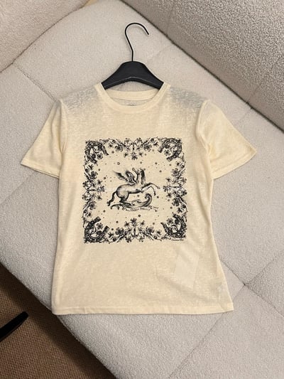 Dior微透童話飛馬T6