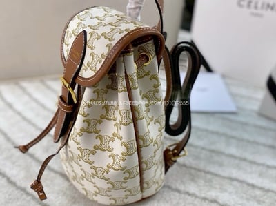 Celine Triomphe Canvas8