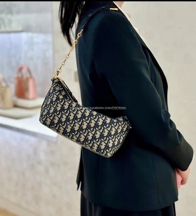 Dior刺繡老花鏈條飯盒包2