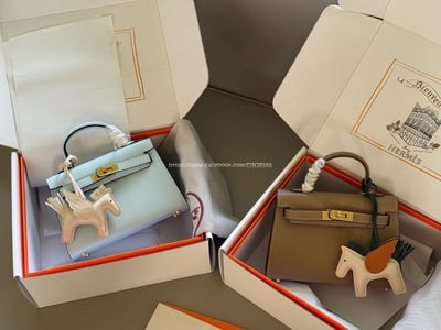 愛馬仕 kellymini  二代8