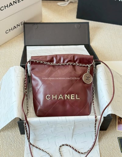 小香 22bag mini 13