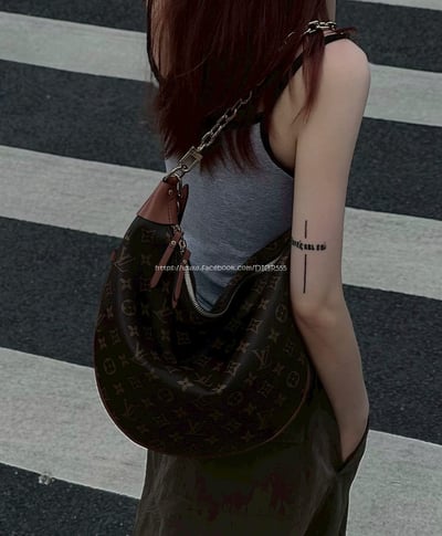 LV Loop hobo大月亮包6