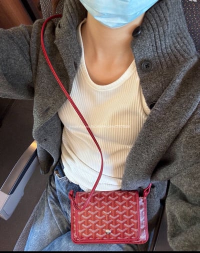 GOYARD Plumet信封包4