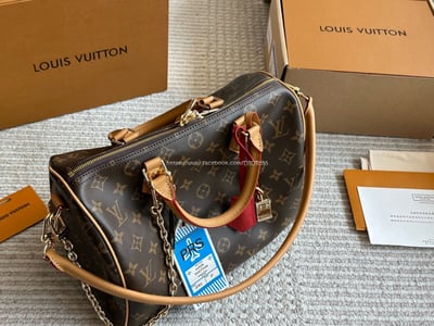 LV SPEEDY30枕頭包10