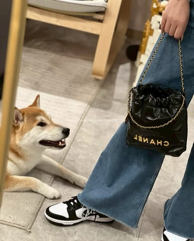 小香 22bag mini 2