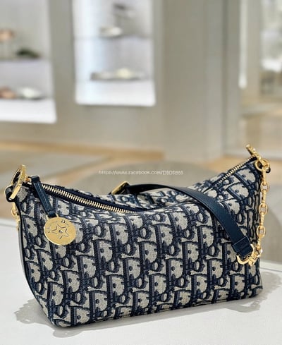 Dior刺繡老花鏈條飯盒包4